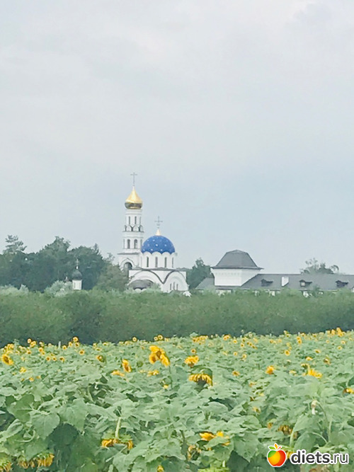 Станица Пластуновская Краснодарский Край Фото